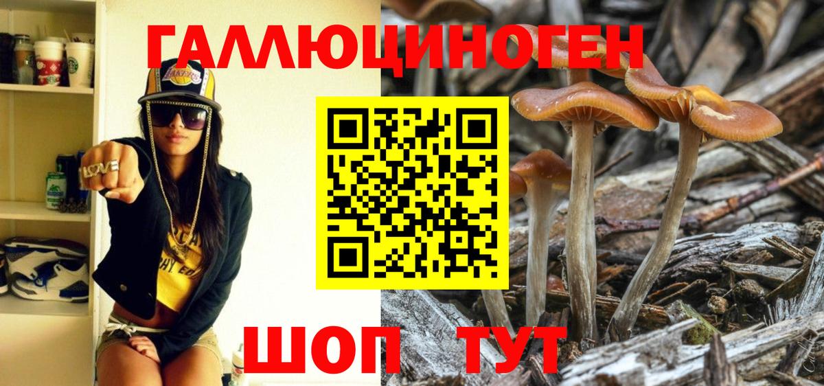 даркнет сайт  Вход с VPN  Азнакаево  Псилоцибиновые грибы Cubensis 