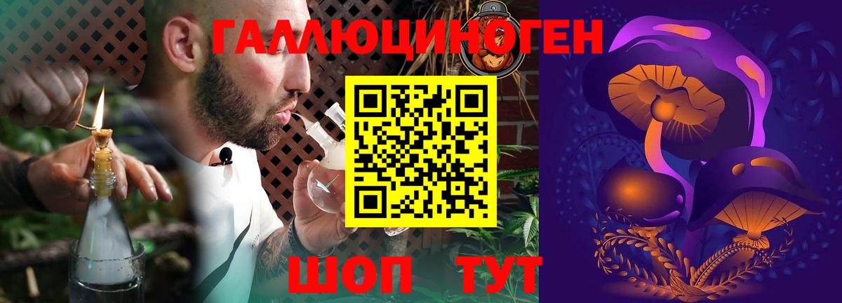 Псилоцибиновые грибы ЛСД Азнакаево